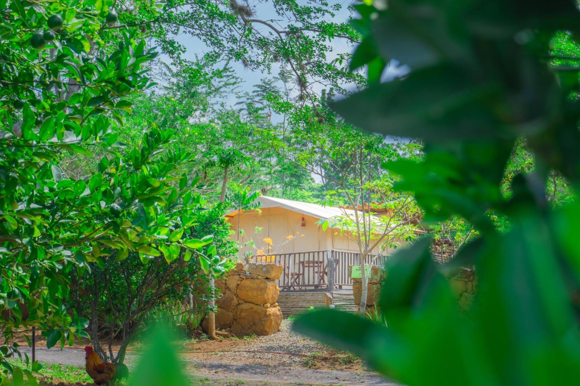 Hotel Hacienda Macedonia Barichara Zewnętrze zdjęcie